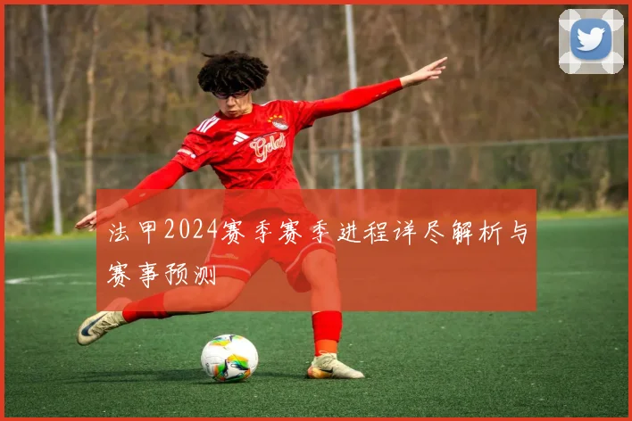 法甲2024赛季赛季进程详尽解析与赛事预测