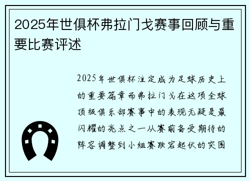 2025年世俱杯弗拉门戈赛事回顾与重要比赛评述